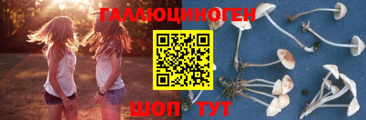 хочу наркоту  Псилоцибиновые грибы ЛСД  Вход с VPN  Избербаш  Псилоцибиновые грибы MAGIC MUSHROOMS 
